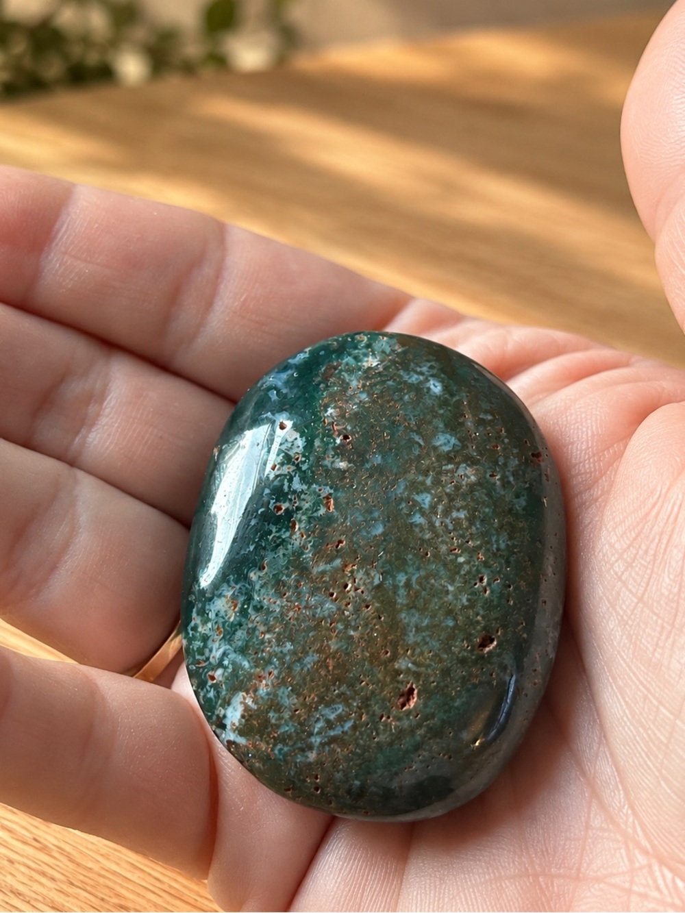 RARE 7th/8th Vein Ocean Jasper Palm Stone Madagascar Old Stock Sea